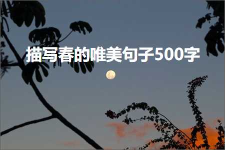 描写春的唯美句子500字（文案685条）